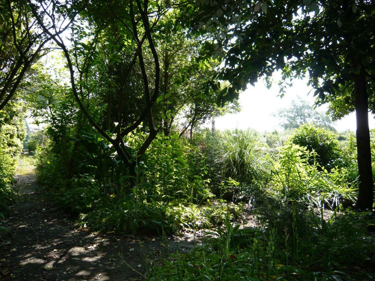 The Croft Guest House - Cockwood Harbour Near 엑서터 외부 사진
